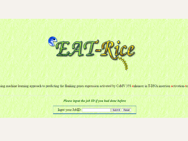 EAT-Rice